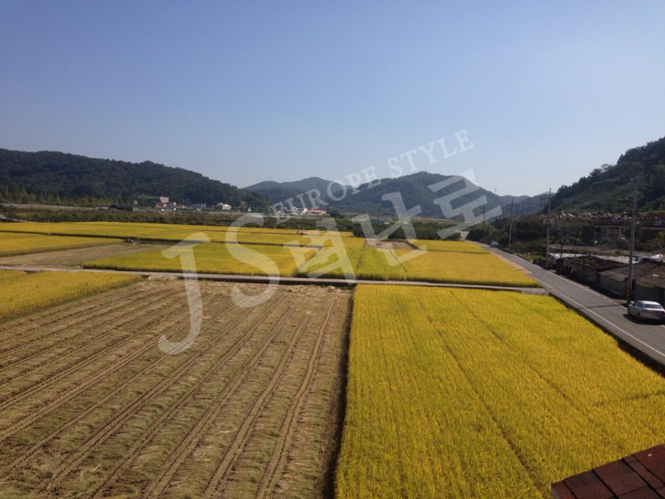 KakaoTalk_20141014_113122326.jpg