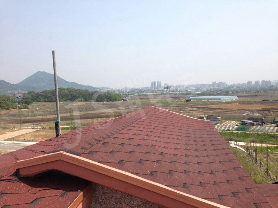 KakaoTalk_20140823_142619357.jpg